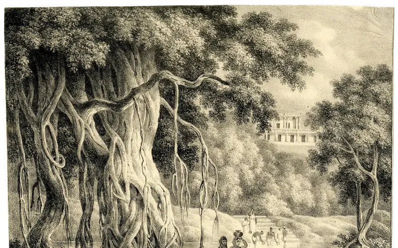 View of the Hill House (Mr. Cleveland's) at Bhaugulpore (BM 1933,1009.1)