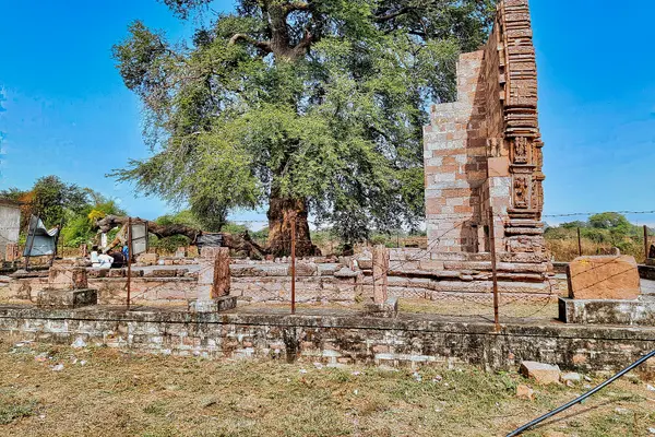 0010822 Deokirari Shiva temple, Kirari Godhi, Chhattisgarh 119