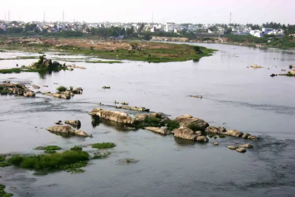 Cauvery at Erode