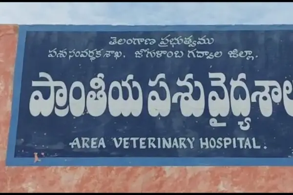 Veternary hospital gadwal
