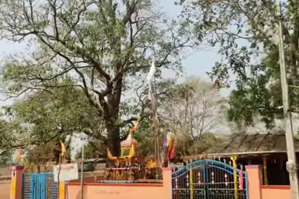 Pochamma Temple Yellaram