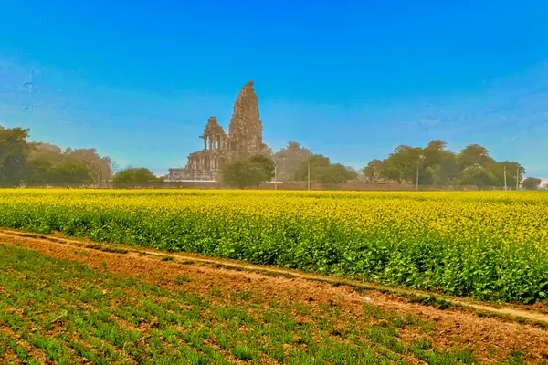 Sihoniya Bawadipura, Madhya Pradesh 01
