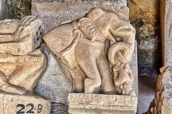 0012623 Mahadeva temple and Bairagi matha, Narayanpur Balodabazar 317
