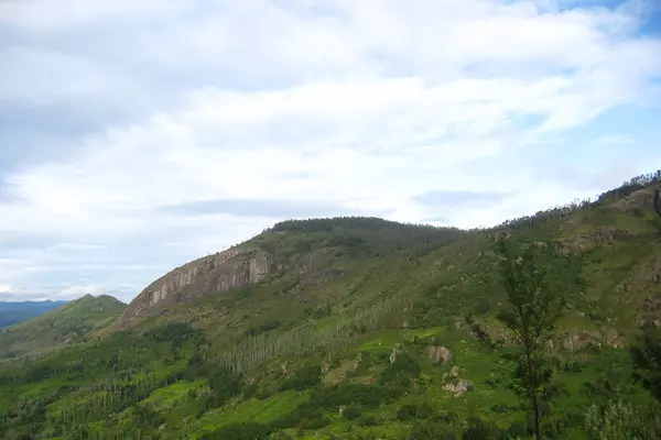 Nilgiri mountain view