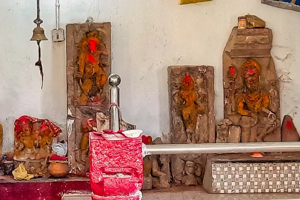 Shiva and Vishnu temple ruins, Pujeripali Maharajpur Chhattisgarh 085
