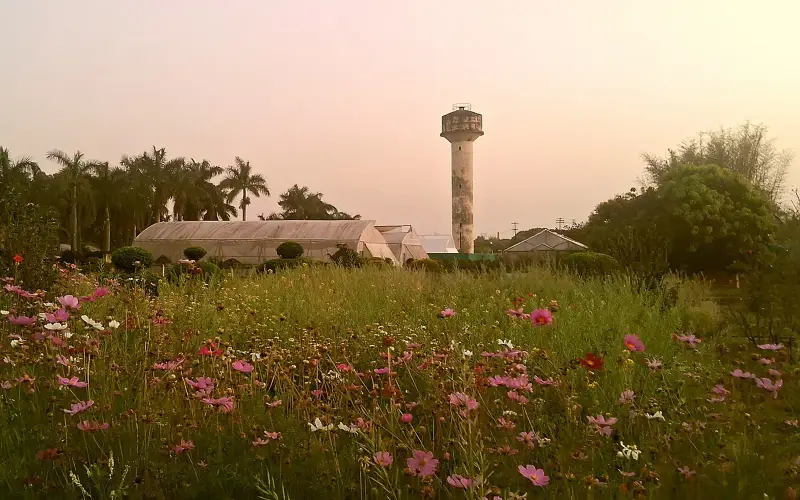 ICAR-National Institute of Secondary Agriculture , Ranchi , Jharkhand