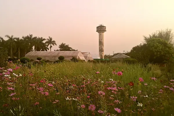 ICAR-National Institute of Secondary Agriculture , Ranchi , Jharkhand