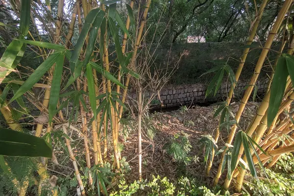 Water Drainage near Bhel Abdul Kalam Park
