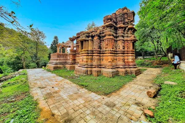 0081423 Surya Temple Ruins, Shiva Shakti Temple, Abhapur Gujarat 070
