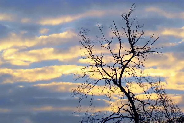 Morning sky, Sambalpur, Orissa (5 January 2008)