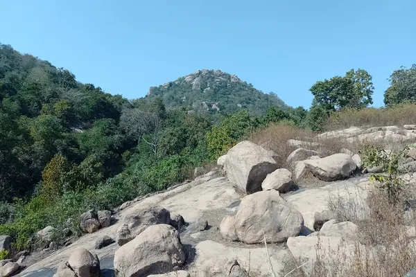 Palkot Wildlife Sanctuary hill