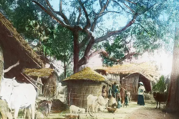 Miss Graham in Siwan, India, ca. 1910 (IMP-CSCNWW33-OS14-67)