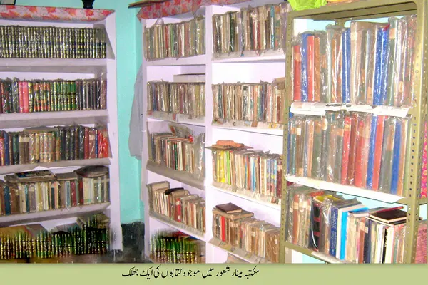 Syed ali akhtar rizvi liberary