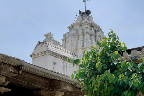 1200 CE Nameshwara temple Pillalamari, Suryapet Telangana India - 56