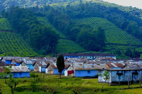 Meghamalai Homes for Estate Workers (மேகமலை)
