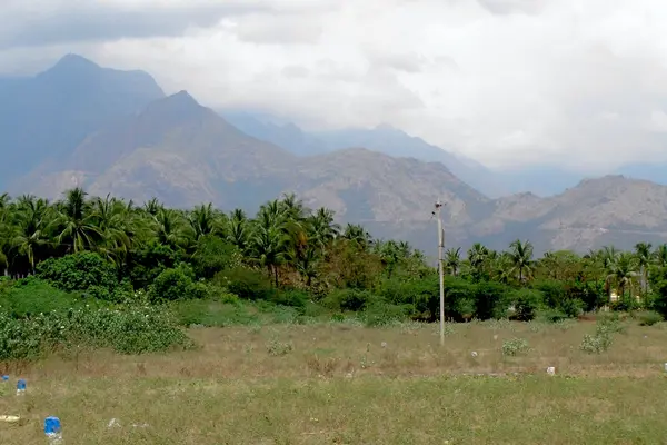 Theni District, Westernghats