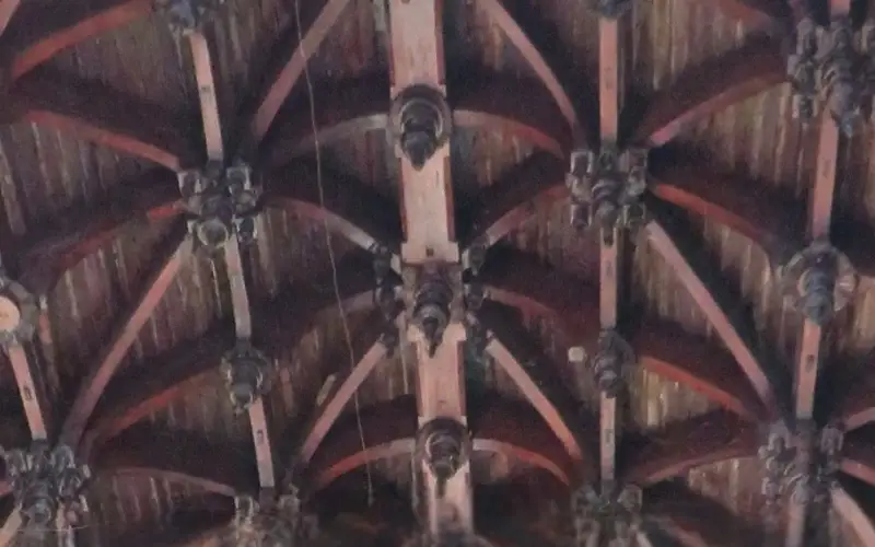 Nellaiappar carved wooden roof