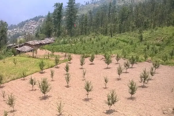 Mori, Purola, uttarkashi, uttarakhand