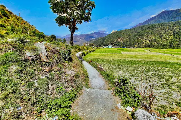 0052023 Jamadagni group of temples, Thaan Uttarakhand 001